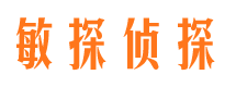 贺兰侦探公司